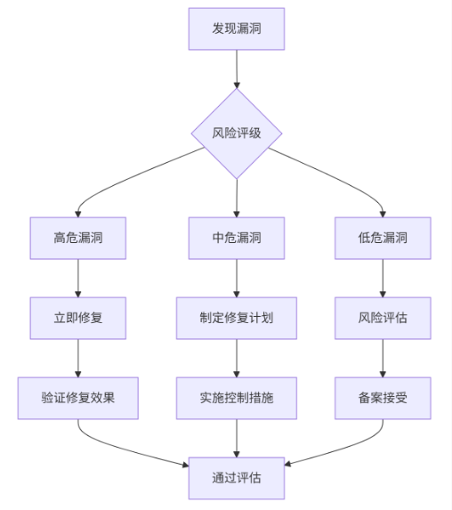 入网安评漏洞处理流程